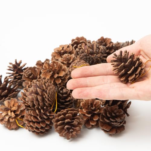 30Pcs Pine Cones for Craft Christmas Rustic Pine Cones with String Fall Garland Decor Christmas Tree Ornaments Winter Vase Filler