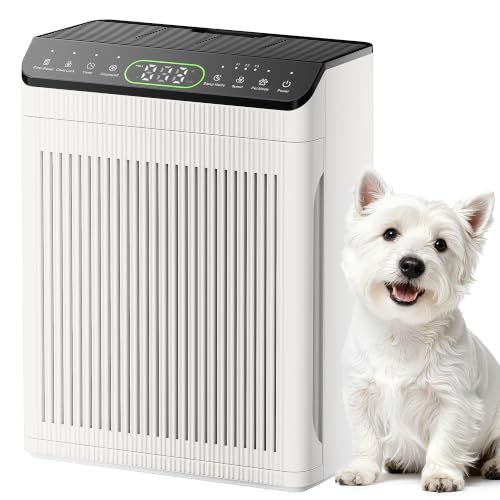 Evalit Air Purifier for Large Rooms Up to 2200 sq ft with Washable Pre-Filter - Ivory