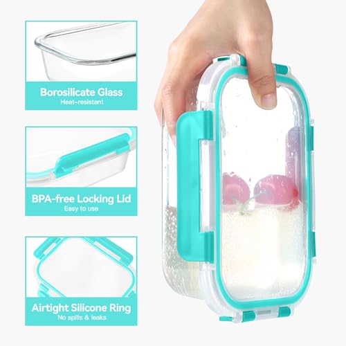 Glass Meal Prep Containers 10 Pack - Airtight BPA-Free Food Storage, 22 oz