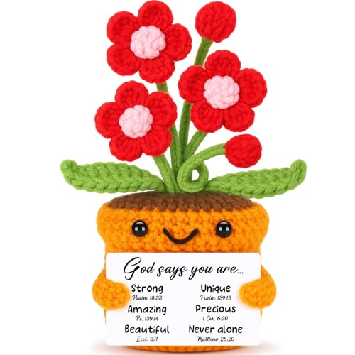 Christian Gifts for Women Birthday Inspiration Religious Faith Based Office Decor for Friends Sister Coworker Daughter Mom Pastor Spiritual Encouragement Christmas God Says You Are Handmade Flowers