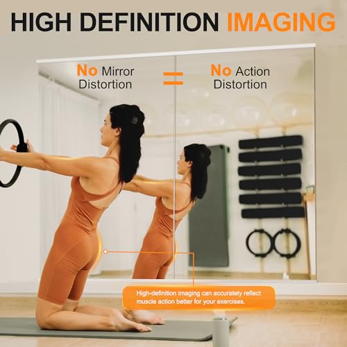 Delma Frameless Full Body Gym Mirrors 54 x 30 Inches, 2 Pack, Tempered Glass Wall-Mounted