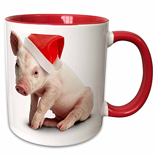 3dRose Christmas Pig 15oz Two-Tone Red Ceramic Mug - Festive Holiday Coffee Cup