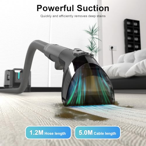Rivenara Portable Carpet & Upholstery Cleaner Machine - Black, 450W