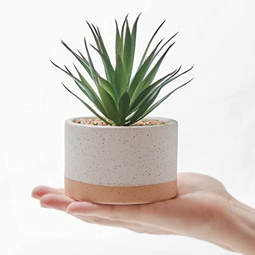ASTRIDIA Artificial Succulent Plants Set of 3 in Burlywood Ceramic Pots