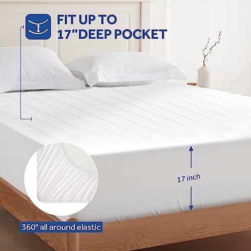 Sealy King Size Heated Mattress Pad with Dual Control & 10 Settings