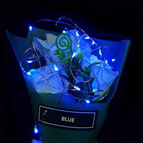 10 Pack Fairy Lights Battery Operated String Lights, 10 LED on 3.3ft Silvery Copper Wire£¬for Flowers Gift Box Wedding Party Christmas Decoration (Polychrome, 10 Pack)