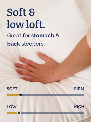 CGK Unlimited Queen Size Cotton Pillows Set of 2 - White, Soft Support, Breathable 300 Thread Count