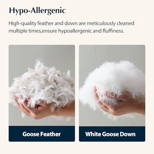 Pacific Coast Queen Size Goose Feather & Down Pillow with 3-Chamber Support - Hypoallergenic, High Thread Count Cotton Shell