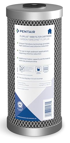 Pentair Pentek FloPlus-10BB 10-Inch Carbon Block Water Filter Cartridge - Pack of 1
