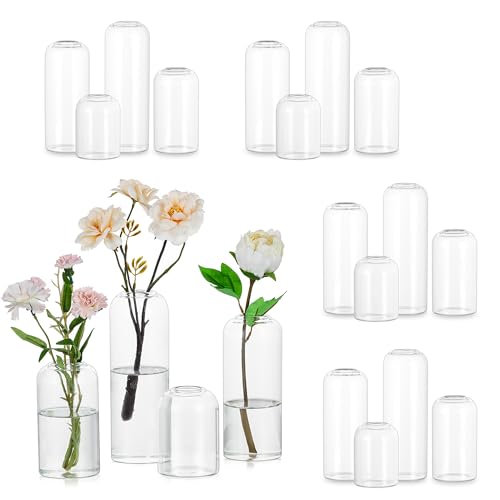 20PCS Clear Glass Bud Vases Set - Small Modern Flower Centerpieces, Wedding Decor
