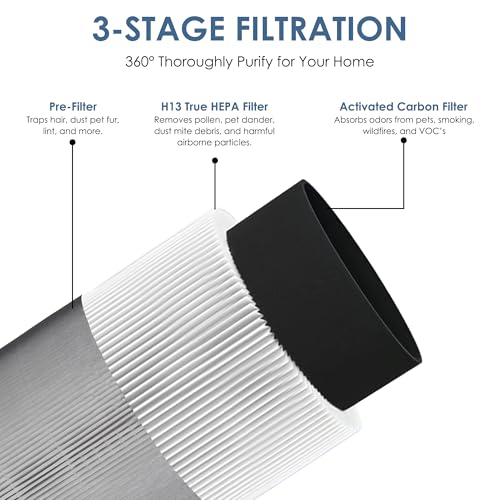 Replacement Air Purifier Filter Set for Winix C610 - 3-in-1 H13 HEPA & Activated Carbon - 2 Pack