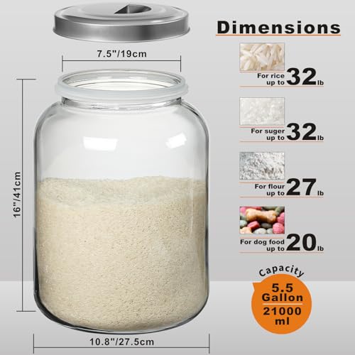 Daitouge 5.5 Gallon Large Glass Storage Jar with Lid, 21000ml, 1 Pack