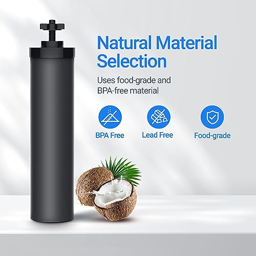 Filterlogic 2-Pack Gravity Water Filter Replacement for Berkey BB9-2 - Purewell