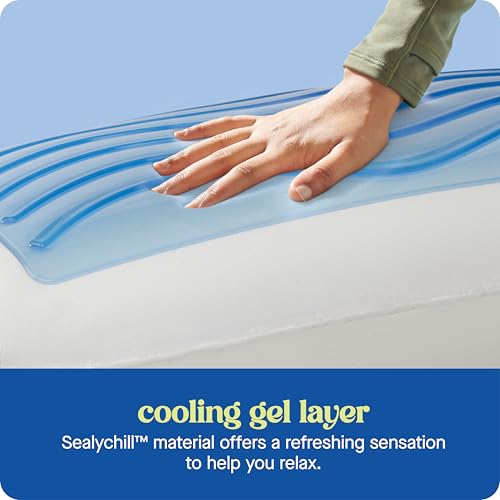 Sealy Dreamlife Standard Cooling Memory Foam Pillow with Gel Cover - Removable Washable Cover, Made in USA
