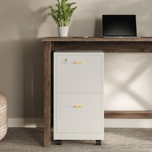 White Wooden File Cabinet with Lock & 2 Drawers - 16x27 Inch, Gold Hardware Variation