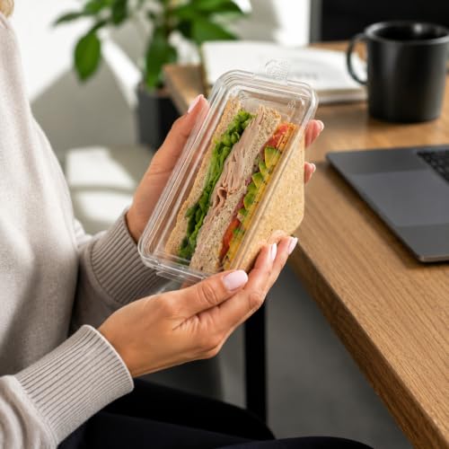 Triangle Food Containers 100 Pack - Clear Plastic Sandwich Wedge with Hinged Lid