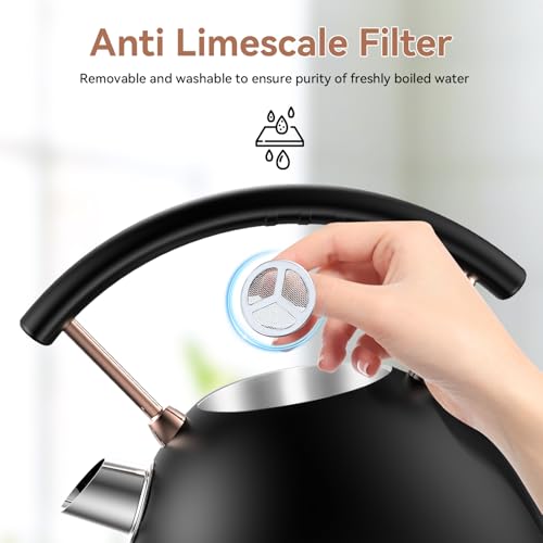 Rasonic Retro Electric Kettle 1.8L Stainless Steel Black, Fast Quiet Boil, Temperature Gauge