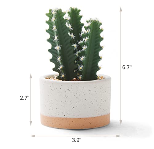 ASTRIDIA Artificial Succulent Plants Set of 3 in Burlywood Ceramic Pots