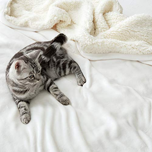 LBRO2M Ivory Sherpa Fleece King Bed Blanket 90x104 Plush Warm Throw