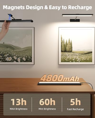 EZVALO 16-Inch Rechargeable Wireless LED Picture Light with IR Remote for Artwork - Black