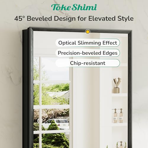 TokeShimi 14x18 Recessed Black Medicine Cabinet with Mirror & Adjustable Shelves - Assembly Required