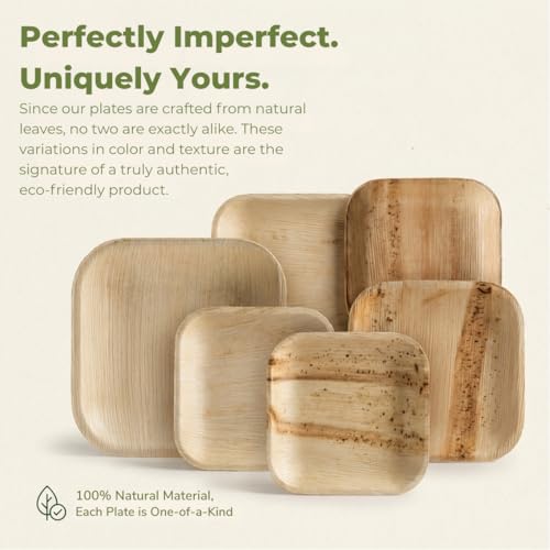Koala love 4 Inch Bamboo Plate Disposable 100 Pack Small Dessert and