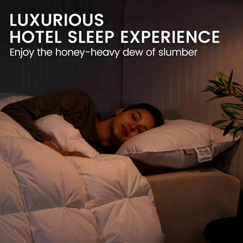 Alanzimo Queen Size Goose Feather Down Pillows Set of 2 20x28 Hotel Collection