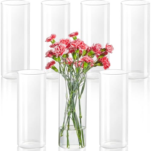 7 Pack 10 Inch Glass Cylinder Vases for Centerpieces - Clear Flower & Candle Holders