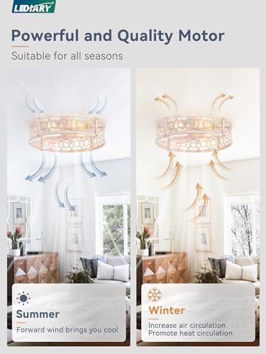LEDIARY 20in Caged Low Profile Ceiling Fan Light with Remote - White & Gold