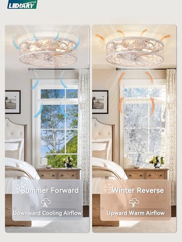 LEDIARY White Gold Caged Ceiling Fan with Light, Remote Control & Quiet Motor