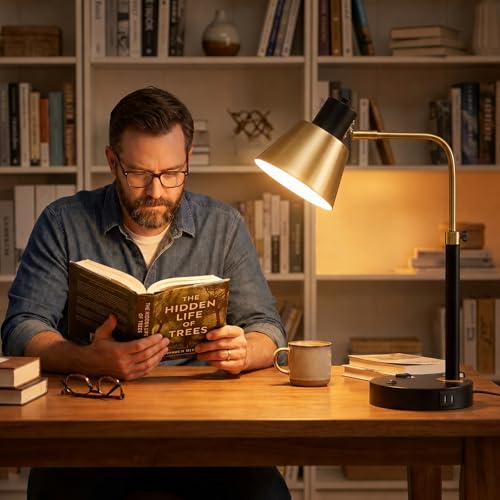 Starstrips Modern Adjustable Desk Lamp with Dual USB-C/A & AC Outlet - 340° Swivel, Variation 1