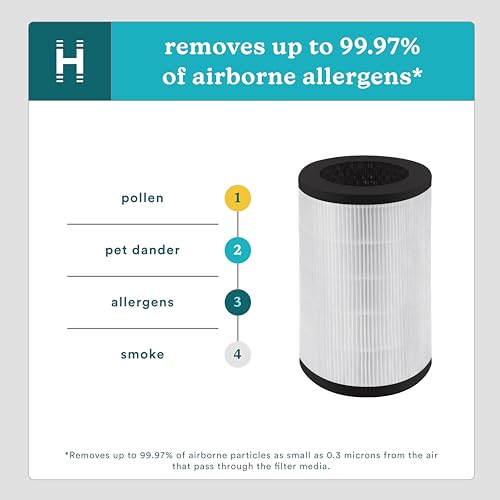 Homedics TotalClean 3-in-1 True HEPA Filter Replacement AP-T40 for Air Purifier