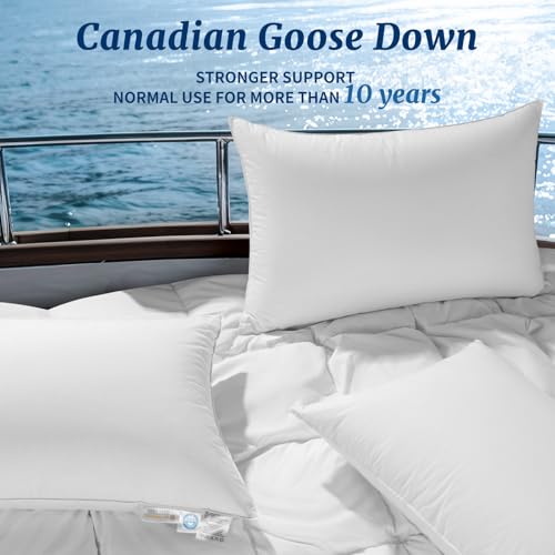 Queen Size Canadian Goose Down Pillow - 900 Fill Power White Luxury Bed Pillow - AiAngu