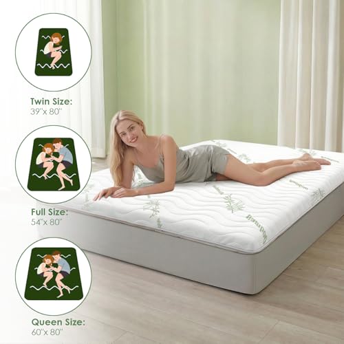 SCHNAUZER HOME Green Queen Japanese Floor Futon Mattress 3.5" Thick Bamboo Visco