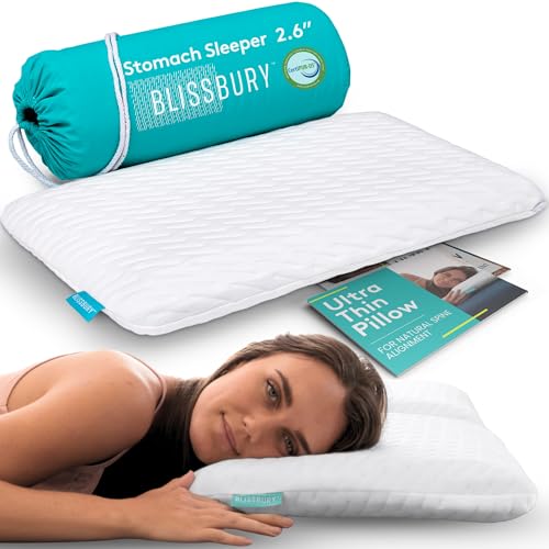 BLISSBURY White 2.6-Inch Flat Memory Foam Stomach Sleeper Pillow Queen