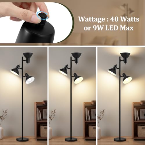 Black 67-Inch Tree Floor Lamp with 3 Adjustable Heads - Modern Living Room Lighting