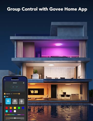 Govee Smart Ceiling Light RGBIC 2400LM 2700K-6500K 12 Inch White 1 Pack