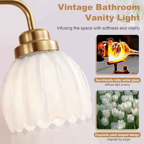 Gold Bathroom Light Fixture 3-Light Vintage Vanity Over Mirror - Brush Gold & Milk, 19.2 Inch