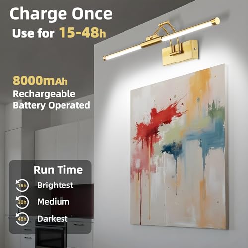 Neymlya 24 Inch Gold Rechargeable Wireless Picture Light with Remote & Dimmable LED