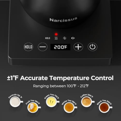 Gooseneck Electric Kettle with Precise Temperature Control 0.9L 1200W