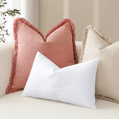 Artscope Synthetic Down Pillow Insert, 20x20 Throw Inserts Set of 2