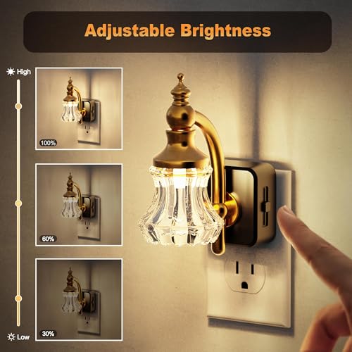 JandCase Vintage Glass Flower Night Light - Wall Plug-In Nightlight - Flower / 2