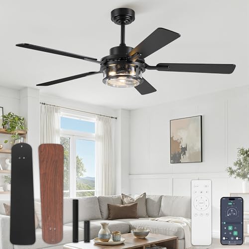 Fanbulous 52-Inch Farmhouse Ceiling Fan with Light & Remote - Black