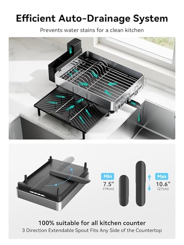 Expandable Dish Drying Rack with Flip-Up Holders - Black + Silver