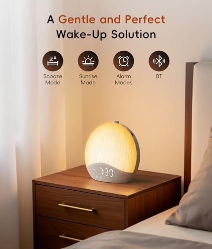 ecozy Sunrise Alarm Clock with White Noise Machine, Sleep Light & Bluetooth