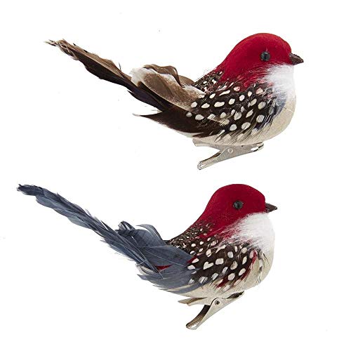 Kurt Adler Bird Clip-On Ornaments - Assorted Brown & Grey Holiday Decorations