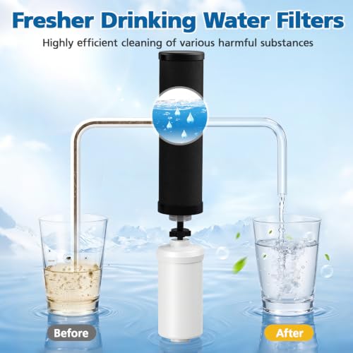 Black Water Filter Replacement for Berkey BB9-2 Gravity System - Compatible Filters