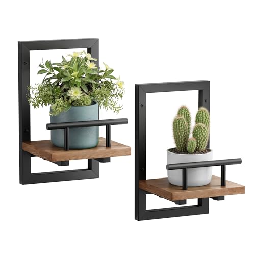Sbosbo Rustic Brown Floating Wall Shelves for Plants - Set of 2