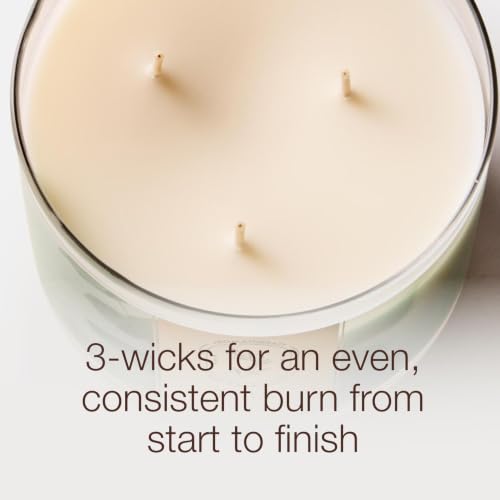 3-Wick Scented Candle with Autumn Leaves Fragrance - Up to 45 Hours