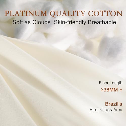 Queen Size Wool Pillow Set of 2 - Flat, Breathable Cotton Cover, Off White